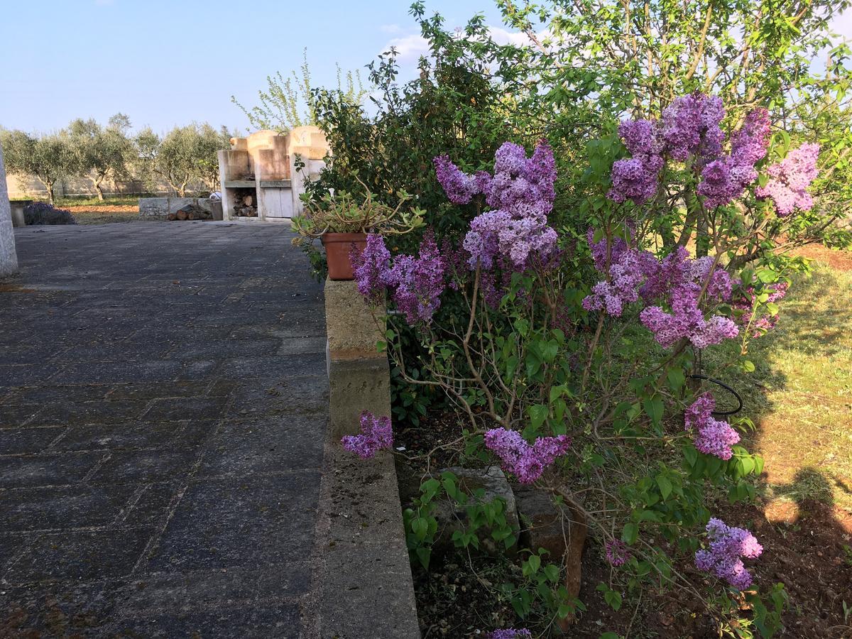 Corte Dei Salentini Carpignano Salentino Exterior foto